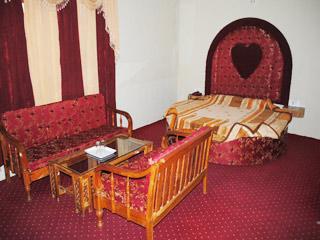 Hotel Neha Palace